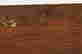 item-128360729=12