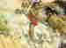 item-128360791=6