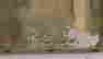 item-128360853=10