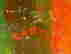 item-130688840=3
