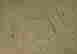 item-130688965=15