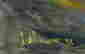 item-130688965=4