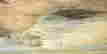 item-130689074=7