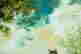 item-130689131=7