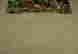 item-130689200=11