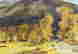 item-130689291=4