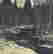 item-130689317=6