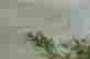 item-130689375=10