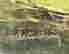 item-130689380=4