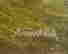 item-130689412=4