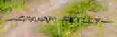item-130689417=3