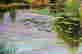 item-130689417=5