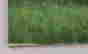item-130689425=10