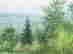 item-130689425=8