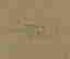 item-130689442=3
