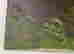 item-130689531=10
