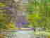 item-130689552=6