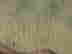 item-130689638=10