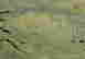 item-130689647=11