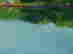 item-130689679=12