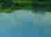 item-130689679=13