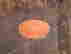 item-130689751=11