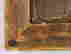item-130689751=12