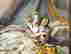 item-130689751=5