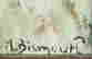 item-130689806=4