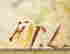 item-130689836=9