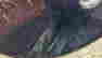 item-130689838=8