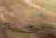 item-130689878=4