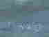 item-130689950=4