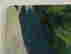item-130689981=12