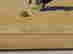 item-130690007=9