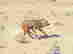 item-130690013=6