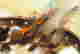 item-130690014=8