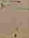item-130690025=9