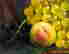 item-130690107=5