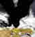 item-131785007=6