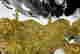 item-131785007=8
