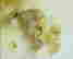 item-131785023=1