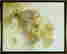 item-131785023=3