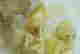 item-131785023=5
