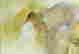item-131785023=6