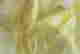 item-131785023=7