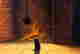 item-131785149=6