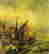 item-131785422=1