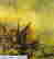 item-131785422=2