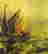 item-131785422=5